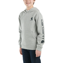 Load image into Gallery viewer, Kids Long Sleeve Graphic Sweatshirt - Carhartt - Grey