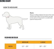 Load image into Gallery viewer, Carhartt Nylon Wide Dog Collar
