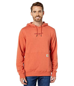 Carhartt Force® Relaxed Fit, Lightweight Graphic Hoodie