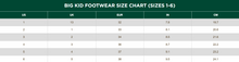 Load image into Gallery viewer, Size chart for kids footwear sizes 1-6
