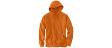 Load image into Gallery viewer, Carhartt Loose Fit Logo Sleeve Graphic Hoodie - K288
