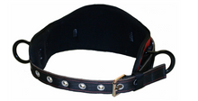 Load image into Gallery viewer, heavy duty padded positioning belt front
