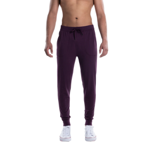 3Six Five Sweat Pants - SAXX - Plum