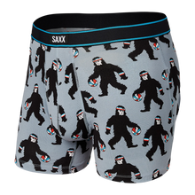 Load image into Gallery viewer, Mens Daytripper Boxer Brief - SAXX - Gray Harry and Hoops

